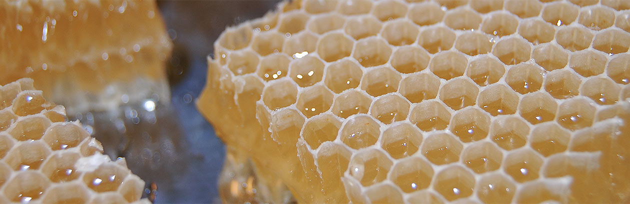 Plástečkový med - Včelařství Dobrovolný