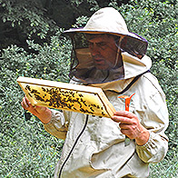 Beekeeper Václav