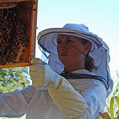 Working with the bees is a passion